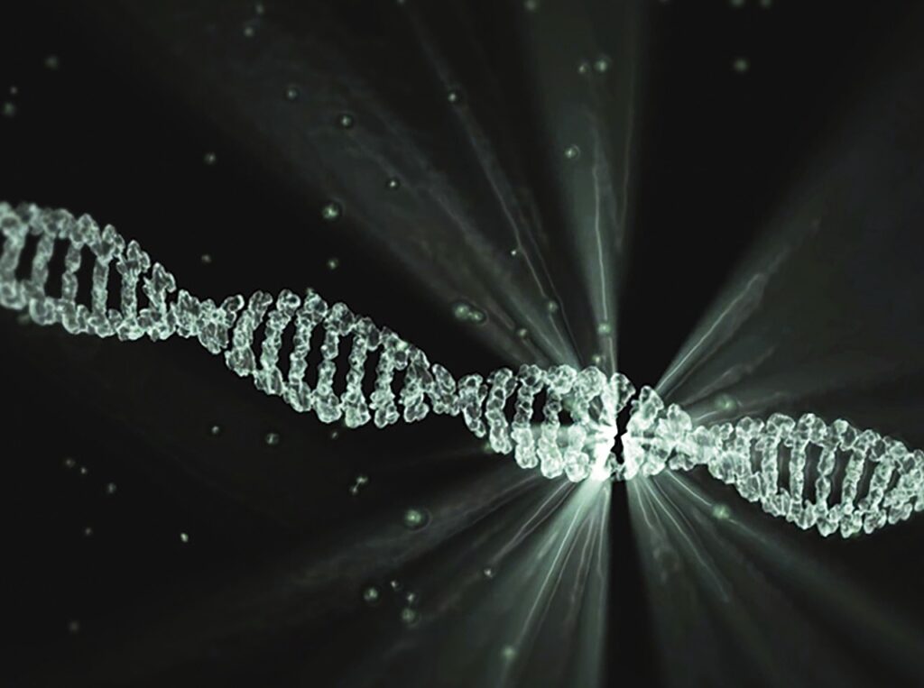 Contact Orbitrex Peptides